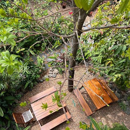 Yellow Farm Homestay Dong Tac Bagian luar foto