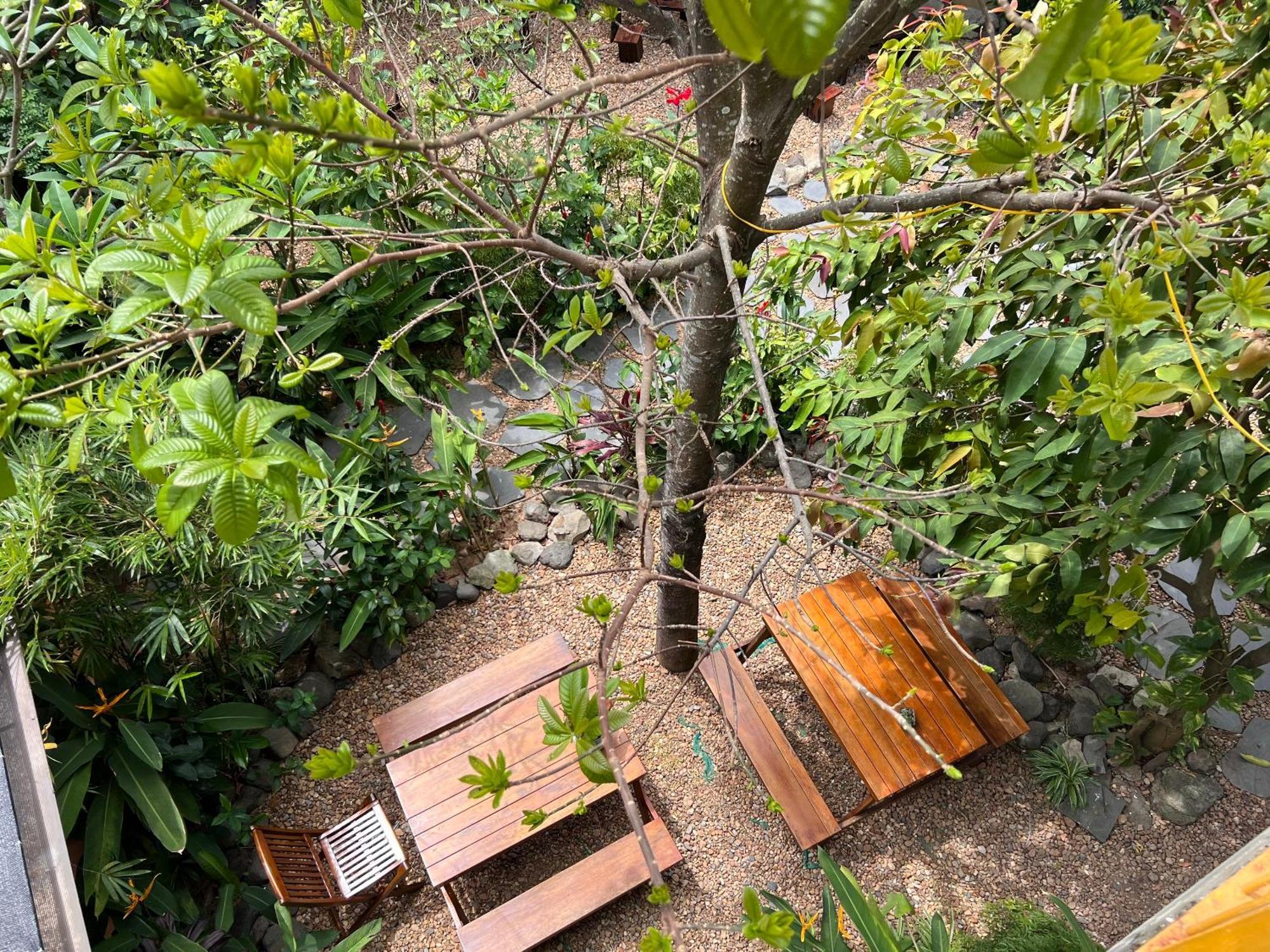 Yellow Farm Homestay Dong Tac Bagian luar foto