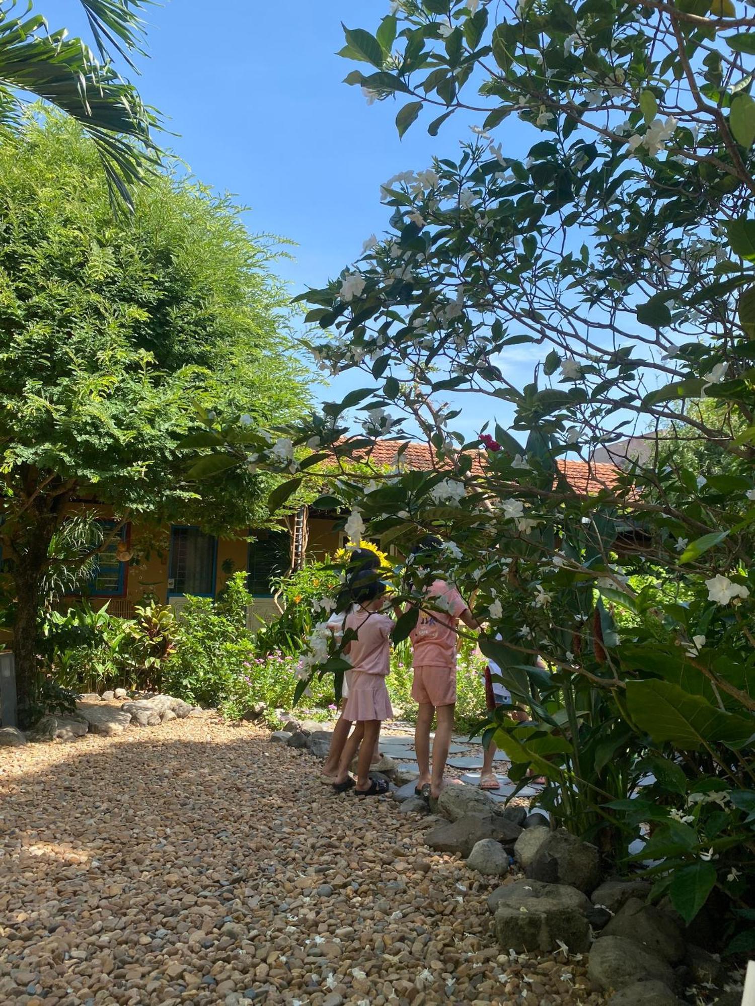 Yellow Farm Homestay Dong Tac Bagian luar foto