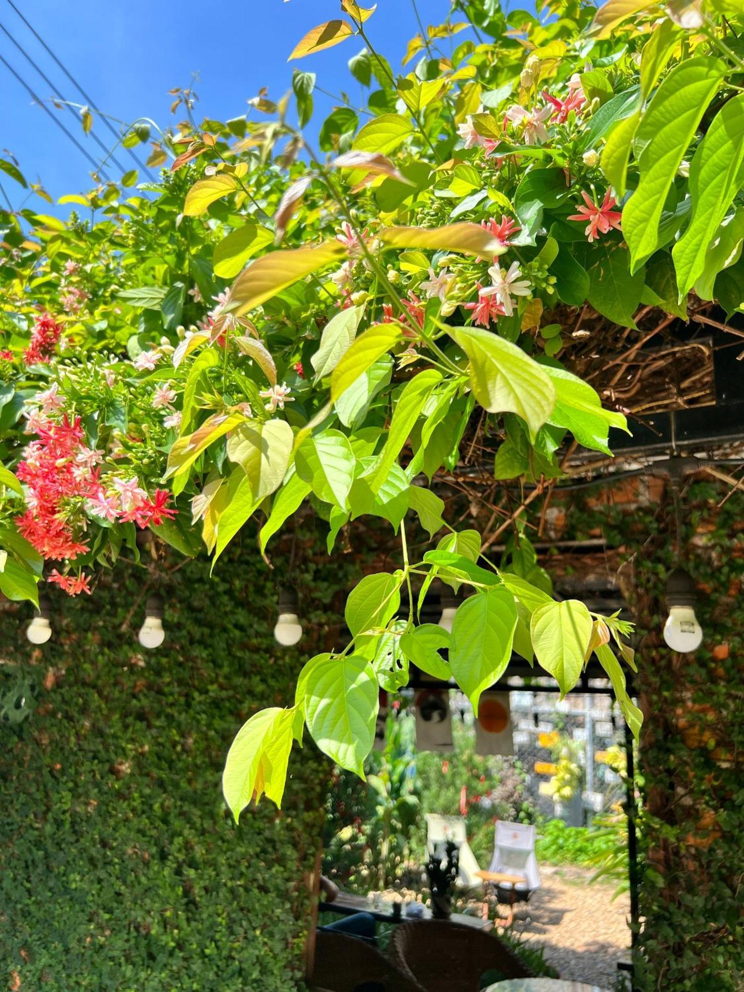 Yellow Farm Homestay Dong Tac Bagian luar foto