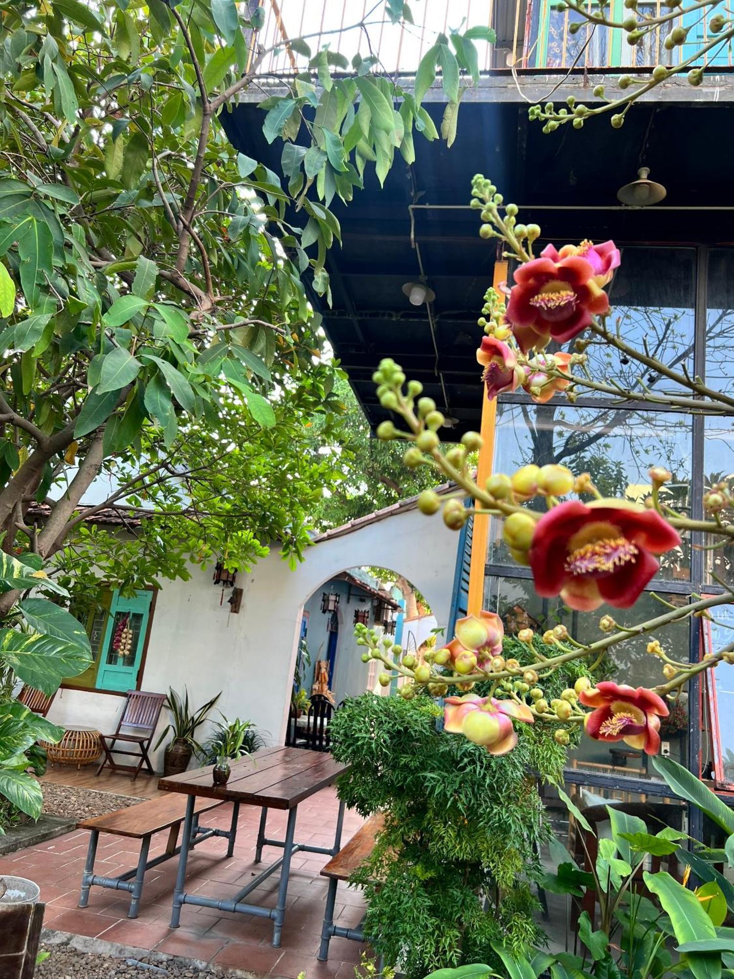 Yellow Farm Homestay Dong Tac Bagian luar foto